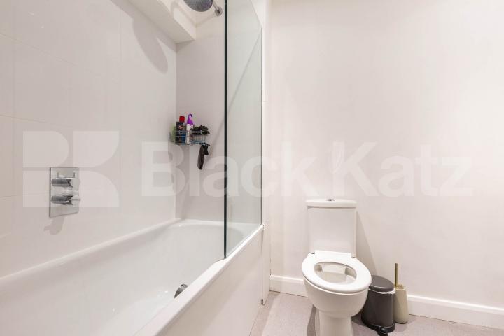 Stunning spacious two bed garden flat within a period house by Regents Park. Oval Road, Regents Park / Camden 